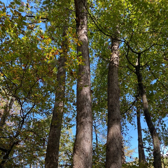 Meet your Posher, Gabi - Picture 1 of 1